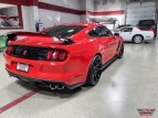 Thumbnail Photo 46 for 2019 Ford Mustang